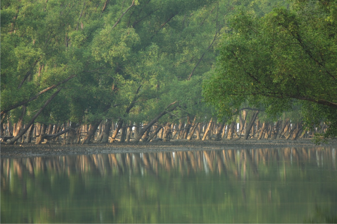 Sundarbans at a Glance: The World’s Largest Mangrove Forest and Bangladesh’s Ultimate Nature Destination